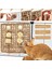 Gine Domuzu Oyuncakları, Suriye Hamster Oyuncakları, Tavşan Sıkıntı Kırıcı, Küçük Hayvanlarla Uyumlu ve Sıkıntıyı Gideren Diş Çıkarma Oyuncakları (Yurt Dışından) 4