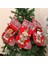 Noel Çorap Noel Baba Şeker Çorap Hediye Çantası Noel Ağacı Noel Ev Dekorasyonu Için Asılı Dekorlar Çanta, B (Yurt Dışından) 2