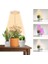 led Büyüyen Işık, Kapalı Bitki Yetiştiriciliği Için Halo Bitki Lambası, Otomatik Zamanlayıcı 4/8/12/18 Saat, Bonsai Succulents Küçük Bitkiler Için (Yurt Dışından) 2