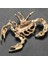 Cadılar Bayramı Metal + Alaşım Broş Pins Emaye Yaka Sopa Pin Takım Elbise Cadılar Bayramı Kostüm Cadılar Bayramı, Broş Seti (Yurt Dışından) 5