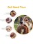Adet Köpek Cırlak Oyuncaklar, Hiçbir Doldurma Peluş Köpekler Çiğneme Oyuncak Küçük Orta Büyük Cins Çiğneme Squeak Evcil Hayvanlar Suppies ile Uyumlu, B (Yurt Dışından) 4