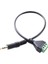 3.5mm 3 Kutuplu Stereo Erkek Fiş 3-Pin Av Video Vida Kalkanı 30 cm Balun Terminali Jak Konnektörü Adaptör Kablosu (Yurt Dışından) 1