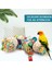 Kuş Oyuncakları Conure Oyuncaklar Asılı Doğal Yumuşak Sola Topu Gaga Çiğnemek Shred Uyumlu Withage Oyuncaklar ile Uyumlu Papağanlar, Cockatiel, Conure 2 Adet (Yurt Dışından) 2