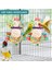 Kuş Oyuncakları Conure Oyuncaklar Asılı Doğal Yumuşak Sola Topu Gaga Çiğnemek Shred Uyumlu Withage Oyuncaklar ile Uyumlu Papağanlar, Cockatiel, Conure 2 Adet (Yurt Dışından) 3