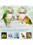 Kuş Oyuncakları Conure Oyuncaklar Asılı Doğal Yumuşak Sola Topu Gaga Çiğnemek Shred Uyumlu Withage Oyuncaklar ile Uyumlu Papağanlar, Cockatiel, Conure 2 Adet (Yurt Dışından) 5