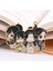 4 Tarzı The Untamed Mo Dao Zu Shi Büyücü Ustası Wei Wuxian Lan Wangji Metal Oyma Ayraç (Yurt Dışından) 3