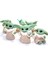 Baby Yoda Star Action Figür 6lı Set 5