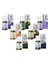 Lavanta Kedi&Köpek Aromaterapi Yağı 1