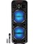 20W 4500 Mah 8"x2 Woofer Taşınabilir Bluetooth Hoparlör BTS-350 1