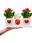 Eros Kalanchoe Set & Aşk Simgesi Eros Aşkın Çiçek Hali Hediye Çiçek Canlı Bitki 2