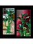 ® Botanicals Şans Bambusu 10344 - Yetişkinler için Çiçek Model Yapım Seti (325 Parça) 8