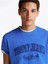 Erkek Tjm Reg Vintage Varsity T-Shirt Mavi 5