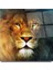 Aslan Cam Tablo | , Dekoratif, Ofis, Mutfak 3