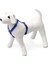 Köpek Göğüs Tasması M Mavi 45-70x2 cm 2