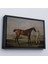 canvas Serie George Stubbs'un Uzun Bacaklı At ve Jokeyi Tablosu - Molly Long-Legs With Her JOCKEY-7012 1