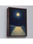 ^#canvas Serie Ay Işığına Yürüyen Kedi ve Dostu TABLO-7504 2