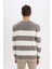 Standart Fit Bisiklet Yaka Çizgili Triko Kazak D1968AX24AU 5