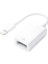 IPAD IPHONE Lıghtnıng Otg Adaptör (Flash Bellek Mouse Klavye Bağlamak Için) 1