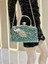 Premium El Yapımı Bayanlar Çanta Crossbody Yemek Çantası (Yurt Dışından) 3