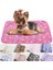 Pembe Kemik Stili Xs 20X20 Yumuşak Pet Battaniye Kış Köpek Kedi Yatak Mat Ayak Baskı Sıcak Yatak Küçük Orta Köpekler Kediler Mercan Polar Yavru Malzemeleri (Yurt Dışından) 2