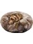 Kahverengi Tarzı Xs Beden Uzun Peluş Sakinleştirici Pet Yatak Kedi Veya Köpek Için Yuvarlak Peluş Köpek Mat Kediler Evi Yuva Yumuşak Köpek Sepeti Pet Yastık Taşınabilir Malzemeleri (Yurt Dışından) 2