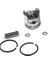Palmera SLP600S Çit Biçme Piston Set 1