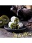 Kivi Aromalı Antep Fıstıklı Fitil Lokum 500 gr 2