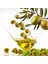Yeşil Zeytin Limon -Kekik -Pancar Salamurasında 2 Li Paket 2