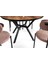 Roza Alfa Yuvarlak Highgloss Mutfak Masa Sandalye Takımı 120CM 4
