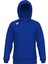 Team Hooded Sweat Panel Unusex Kapşonlu 1