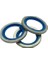 Kauçuk O-Ringli Süper Pul (Bonded Seal , Kauçuklu Pul ) 100 Lü Paket 1/4 Inç 3