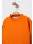 Erkek Çocuk Basic Mavsimlik 2 Iplik Penye Bisiklet Yaka Sweatshirt 2
