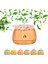 Hava Nemlendirici Tuz Lambalı Tuz Hediyeli Humidifier 260 ml Salt Lamp Ultrasonik Gece Lambası 1