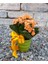 Kalanchoe Canlı Bitki Renkli Seramik Saksıda & Hediye Canlı Bitki Dört Mevsim Açan Çiçek 2