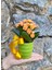 Kalanchoe Canlı Bitki Renkli Seramik Saksıda & Hediye Canlı Bitki Dört Mevsim Açan Çiçek 3