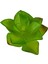 Yapay Mini Etli Echeveria Sukulent Açık Yeşil 8 cm 2