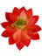 Yapay Mini Echeveria Sukulent Kırmızı 8 cm 2