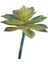 Yapay Mini Etli Echeveria Sukulent Açık Yeşil 12 cm 1
