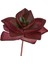 Yapay Mini Echeveria Sukulent Bordo 8 cm 2