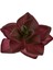 Yapay Mini Echeveria Sukulent Bordo 8 cm 3