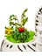 Kuru Çiçekli Kaktüs Zebra Seramik Saksıda Tasarım& Canlı Bitki & Hediyelik & Saksılı Kaktüs 2