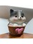 New Year H&w Kitten Para Bankası Kırılmaz Kedi Kumbarası 2