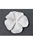 Frangipani Çiçeği 7,8cm Çiçek Silikon Kalıp K-705, Kokulu Taş Sabun Alçı Mum Kalıbı 4