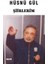 Şiirlerim - Hüsnü Gül 1