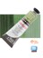 Georgian N:379 Terre Verte (Hue) Yağlı Boya 38ML Profesyonel Yeni Paket 1