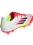 F50 League Fg/mg 5
