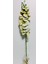 Yapay Dal Baskılı Islak Doku Orkide Çiçeği 88 cm Haki- Yeşil 2