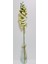 Yapay Dal Baskılı Islak Doku Orkide Çiçeği 88 cm Haki- Yeşil 3