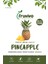 Dondurularak Kurutulmuş Ananas 20 gr, Vegan, Glutensiz Kurutulmuş Meyveler 5