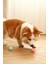 Evcil Hayvan Hareketli Kedi Köpek Oyuncağı Şarjlı Kedi Köpeğinizden Kaçar Oyuncak 1